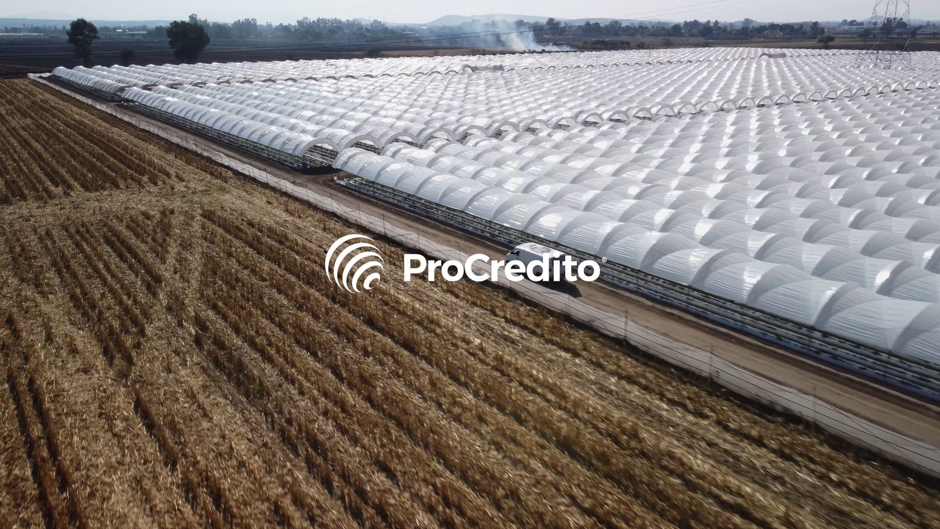 ProCredito - Aneberries 2023