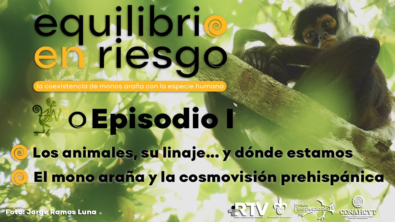 Equilibrio en Riesgo: Episodio I