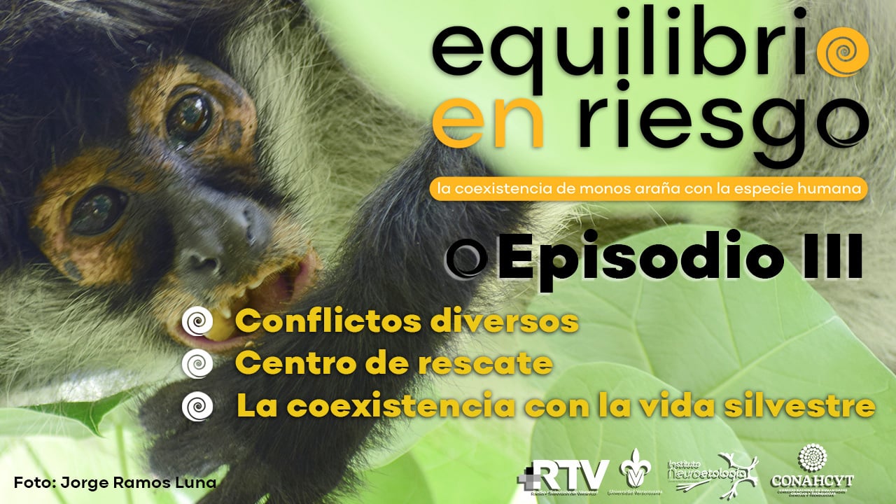 Equilibrio en Riesgo: Episodio III