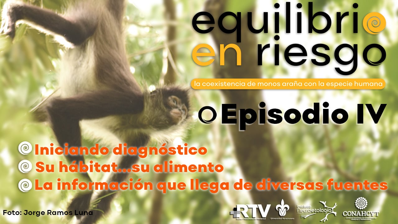 Equilibrio en Riesgo: Episodio IV