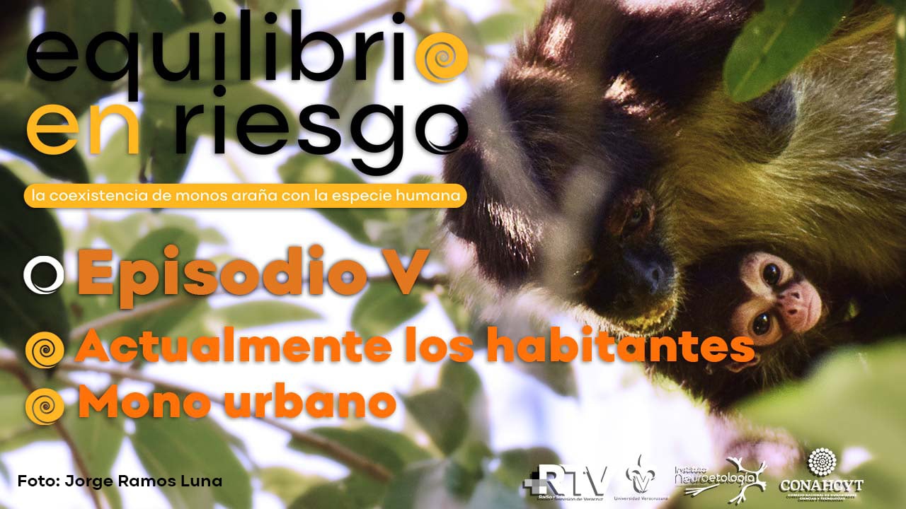 Equilibrio en Riesgo: Episodio V