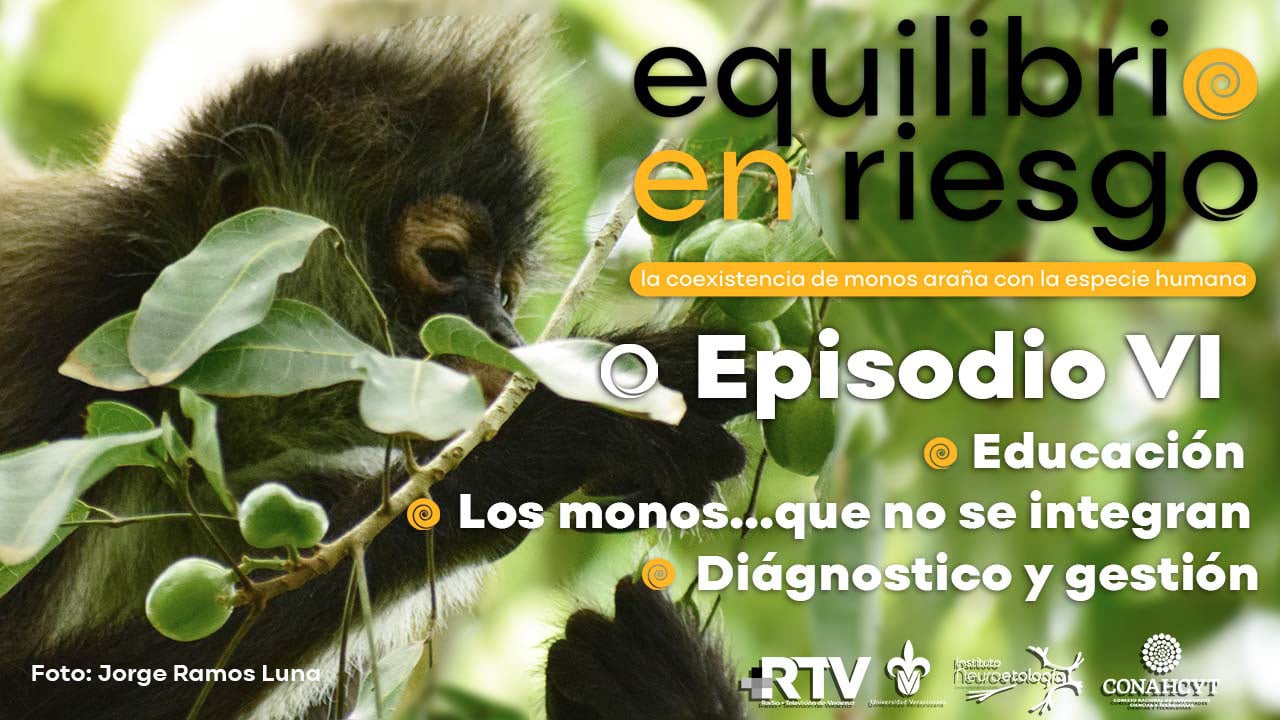 Equilibrio en Riesgo: Episodio VI