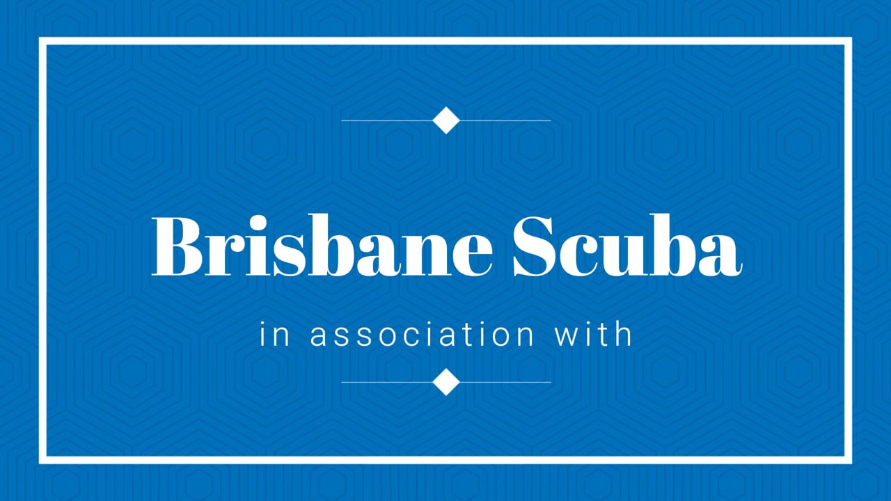 Brisbane Scuba Video Gallery Brisbane Scuba Dive Trips & Scuba