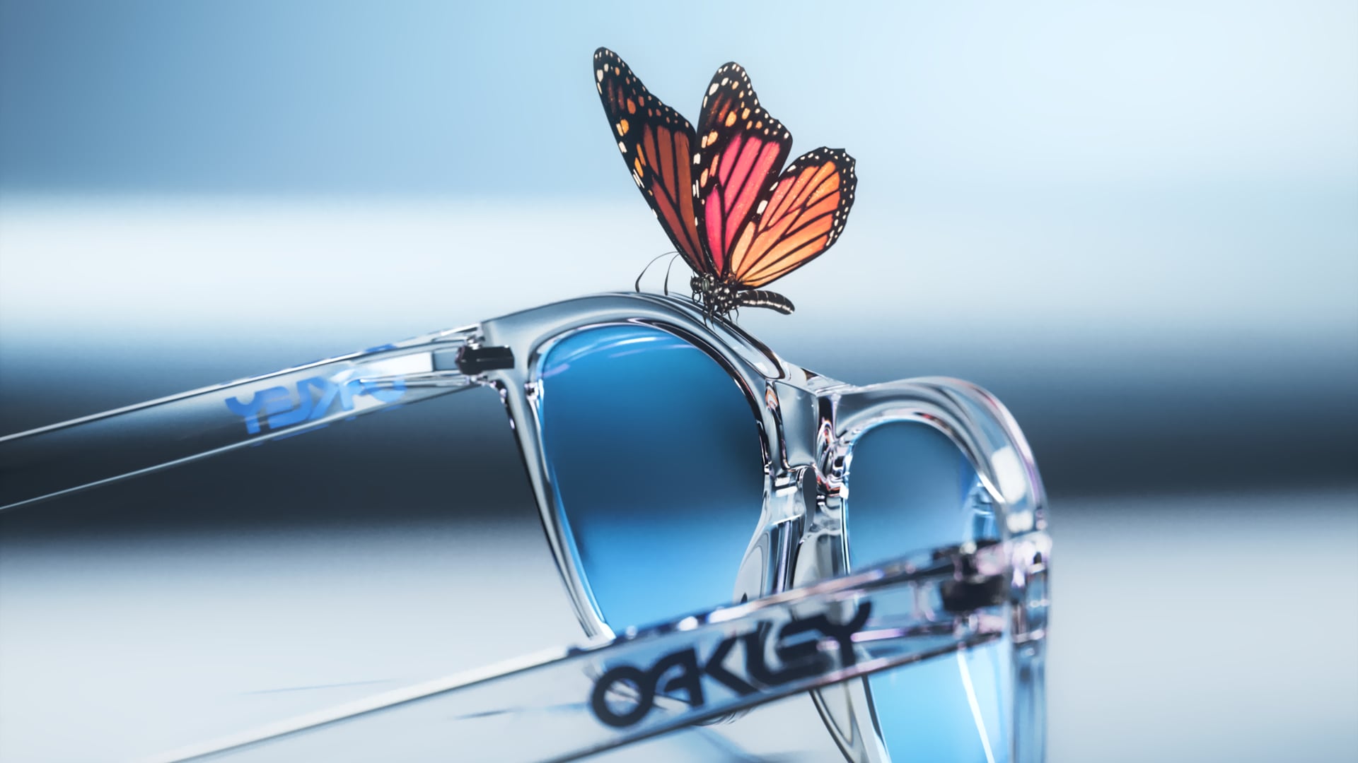 Oakley | Frogskins