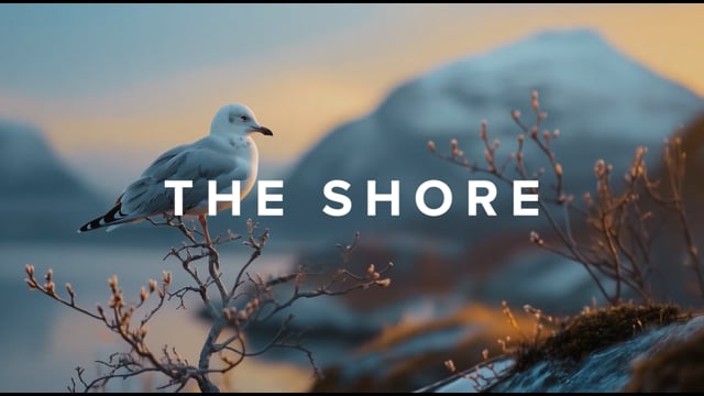 The Shore (Remastered)