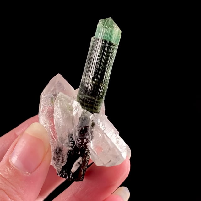 Tourmaline (multi-color crystal) with GEM Quartz