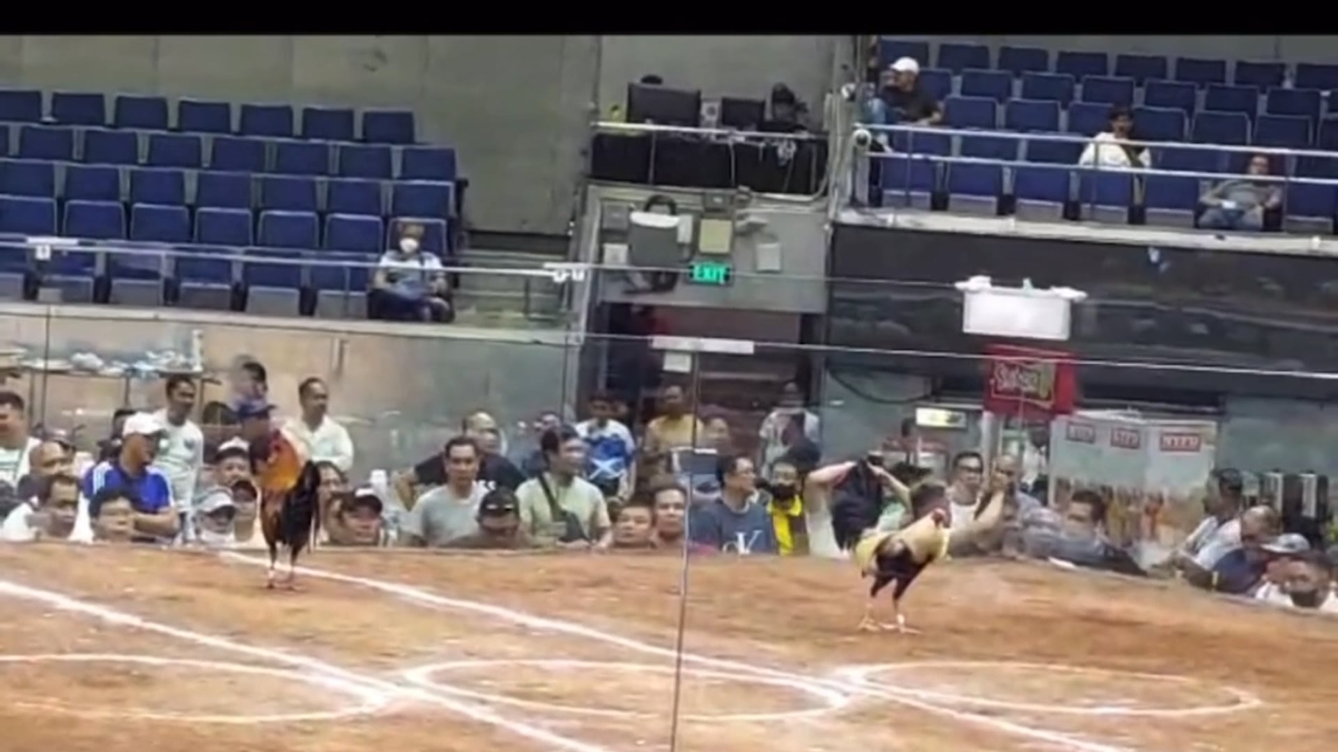 DWGF 6 wins at World Slashers Cup 2024 at the Araneta Coliseum V09
