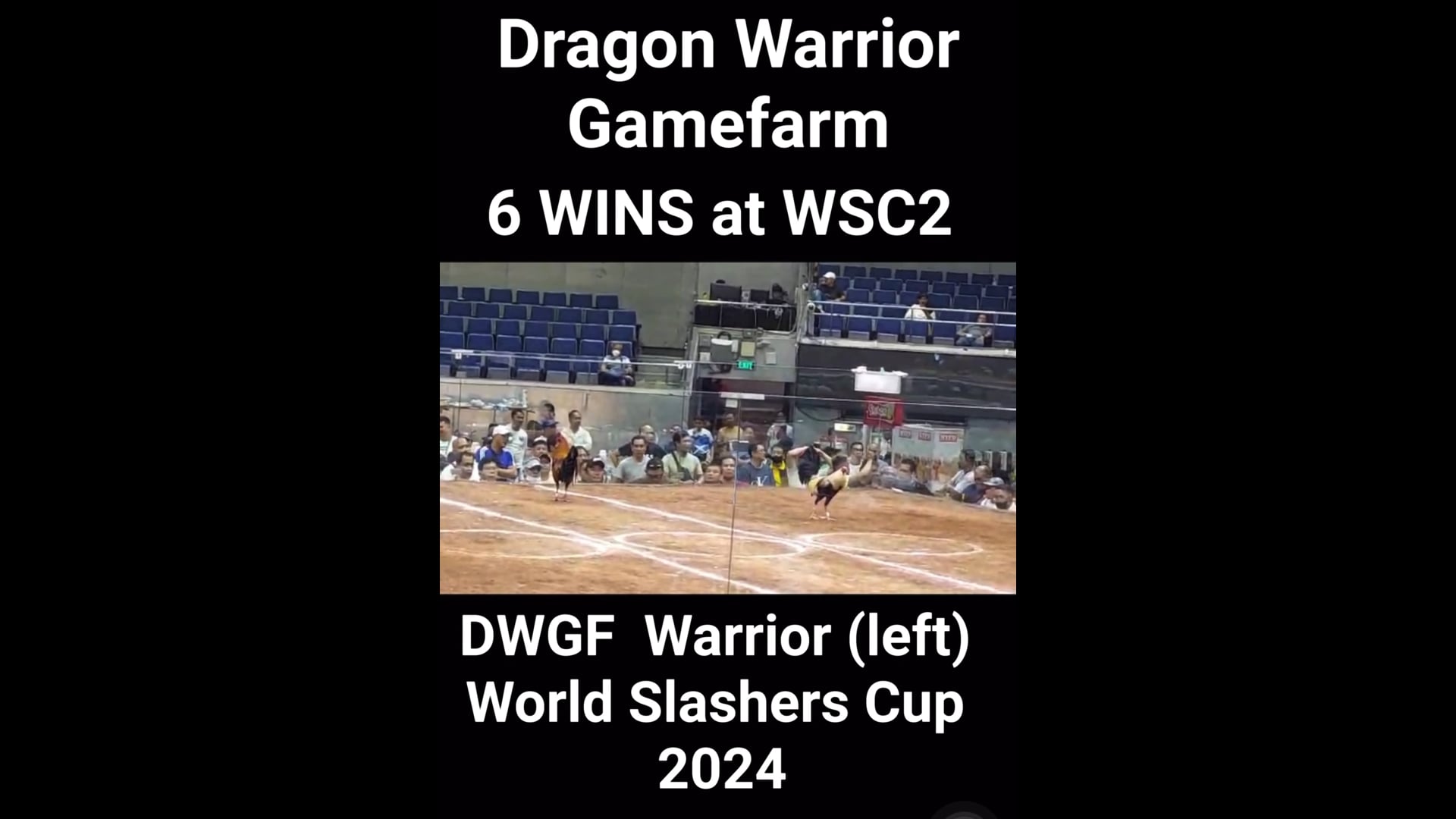 DWGF 6 wins at World Slashers Cup 2024 at the Araneta Coliseum V09