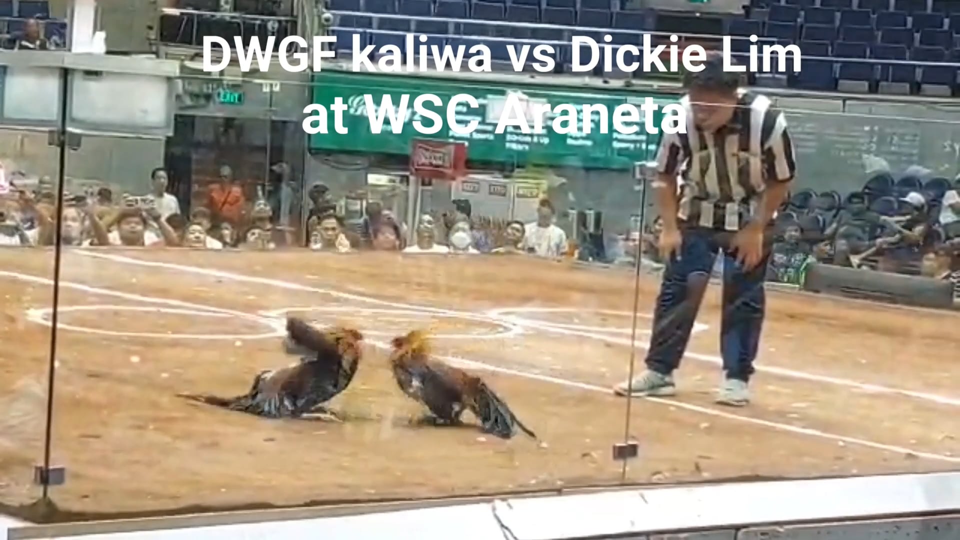 DWGF 6 wins at World Slashers Cup 2024 at the Araneta Coliseum V08