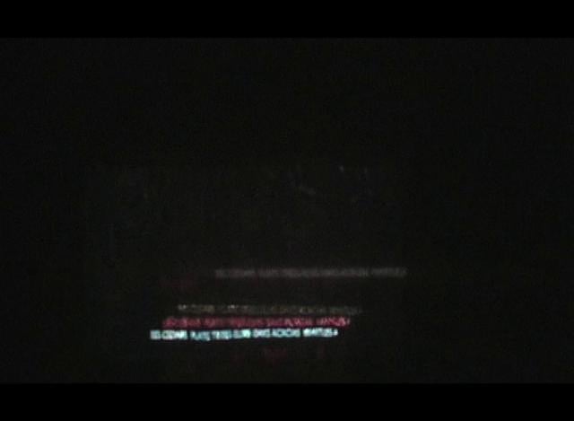 FLORA INFERNALIS, 2010, INSTALLATION OVERVIEW.
