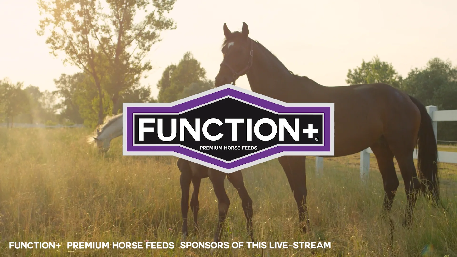 Function+ Commercial - 1080p