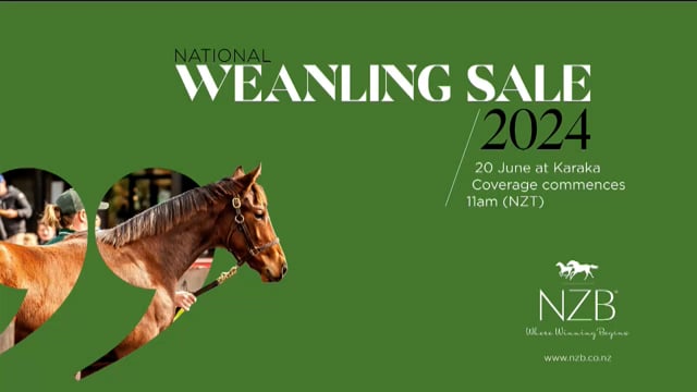 2024 National Weanling Sale - Start of Day - Lot 4