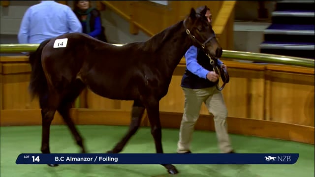 2024 National Weanling Sale - Lots 14 - 22