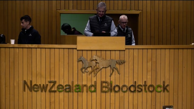 2024 National Weanling Sale - Lots 23 - 31