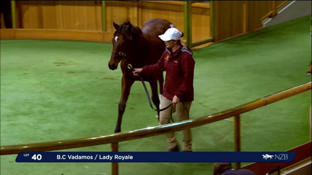 2024 National Weanling Sale - Lots 40 - 49