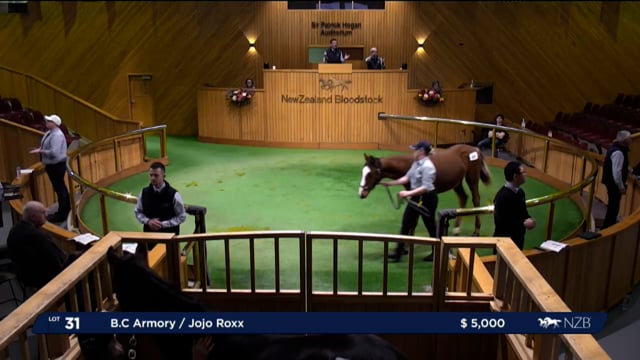 2024 National Weanling Sale - Lots 31 - 40