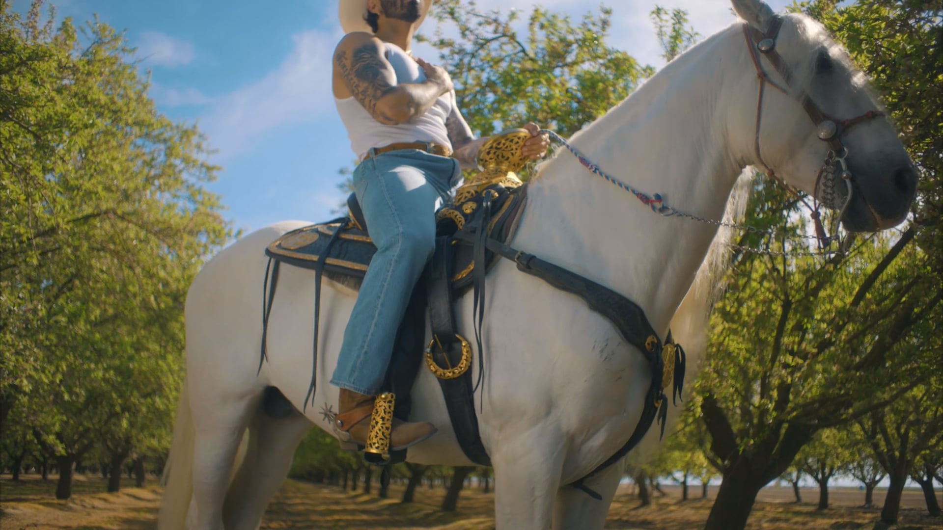 Sedúceme Official Music Video - J Salez