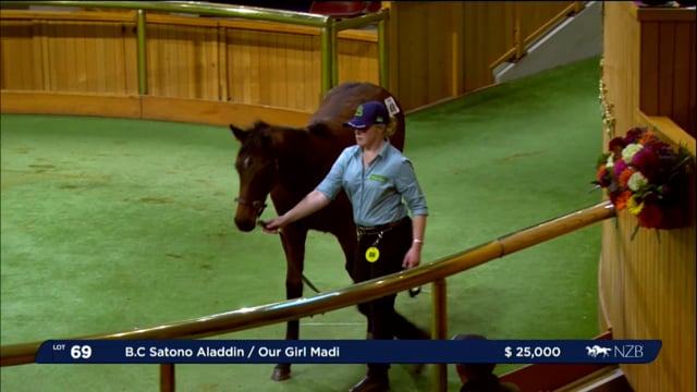 2024 National Weanling Sale - Lots 69 - 77