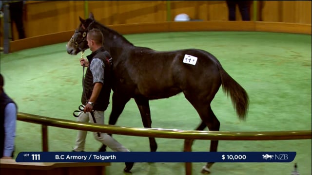 2024 National Weanling Sale - Lots 111 - 121