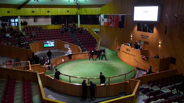 2024 National Weanling Sale - Lots 121 - 127