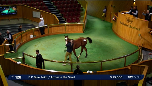 2024 National Weanling Sale - Lots 128 - 136