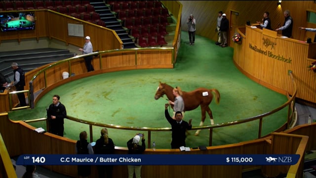 2024 National Weanling Sale - Lots 136 - 144