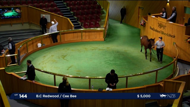 2024 National Weanling Sale - Lot 144 - End of Day