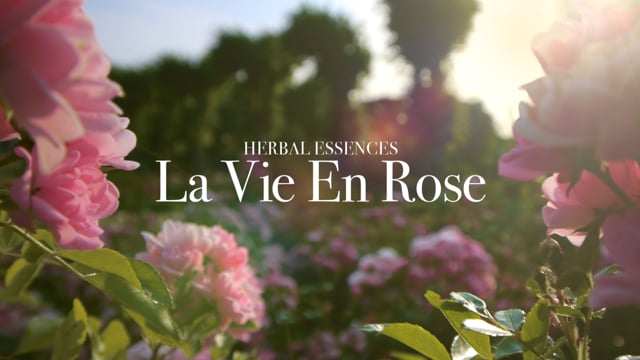 deVine Voices Native French Female Voiceover Herbal Essences Commercial