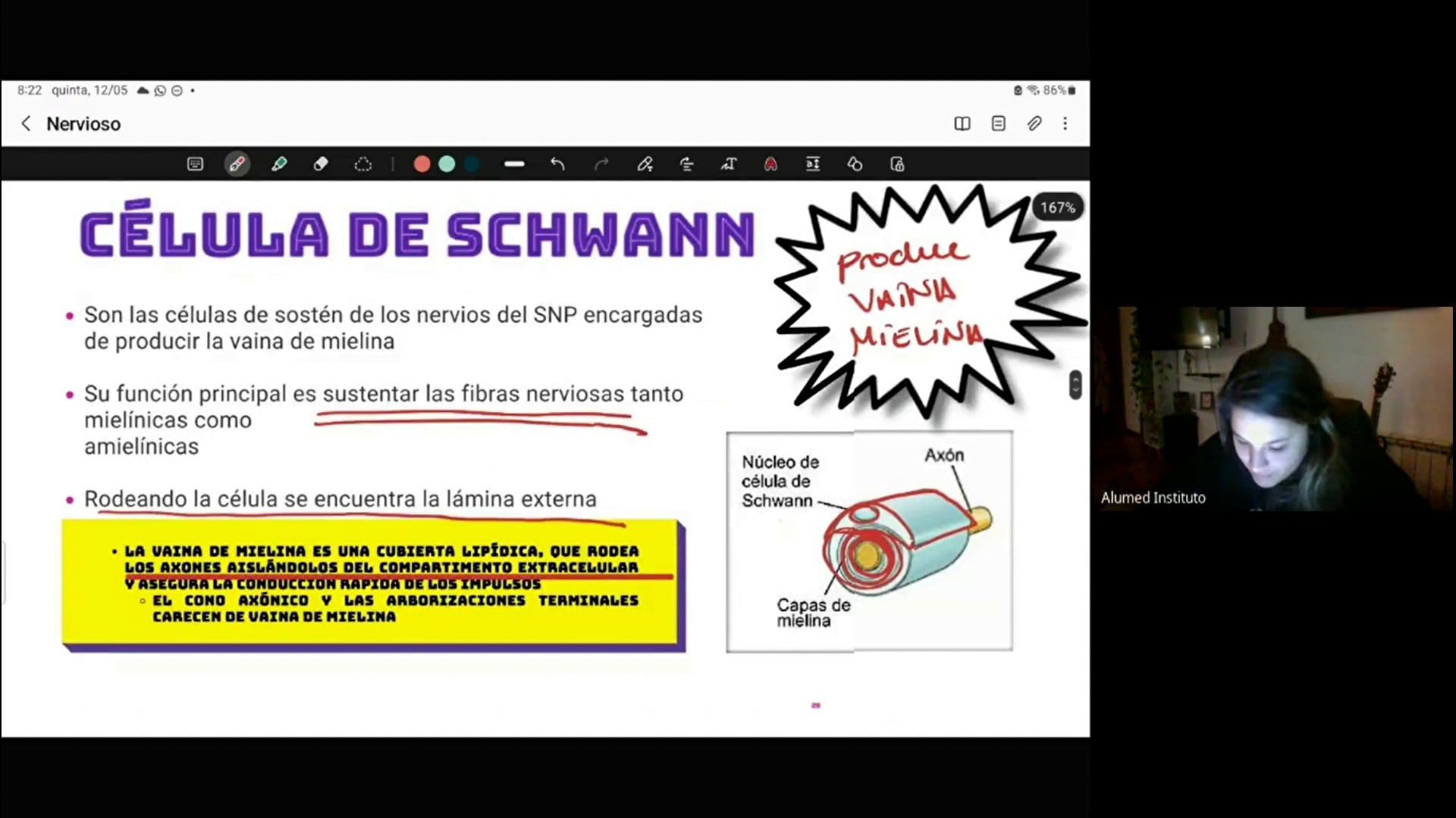 PRÉ-PARCIAL ALUMED