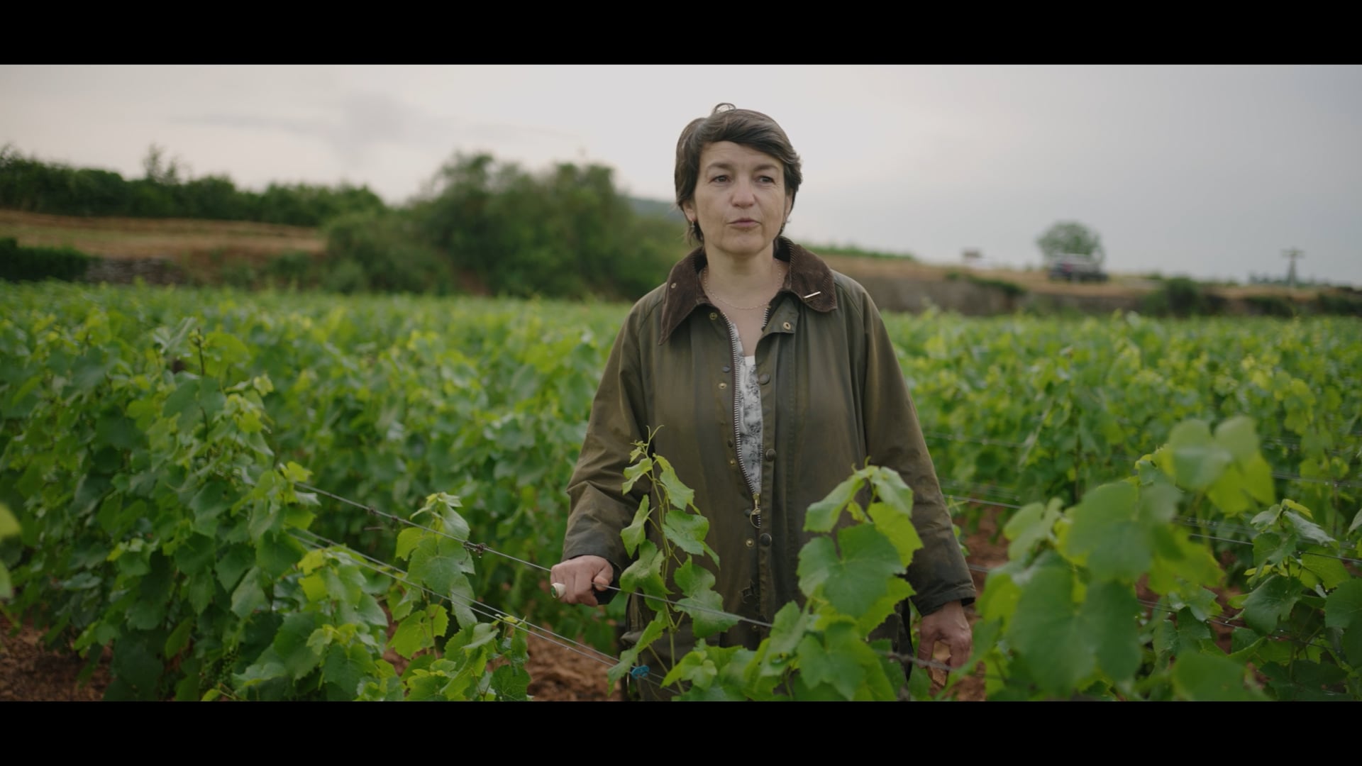 Savigny Lavière, où l'harmonie subtile - Un conte de Nathalie Tollot