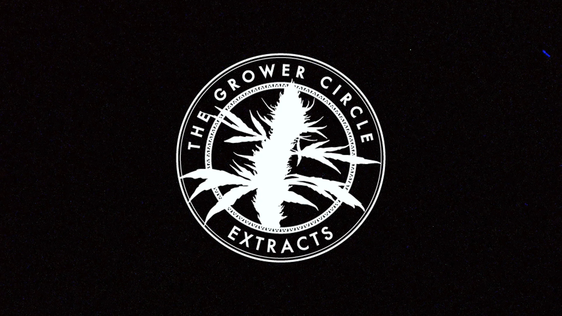 may hash hype video wash and press- tgc extracts 5.28.22 - paul tumpson  cannabis photographer las vegas