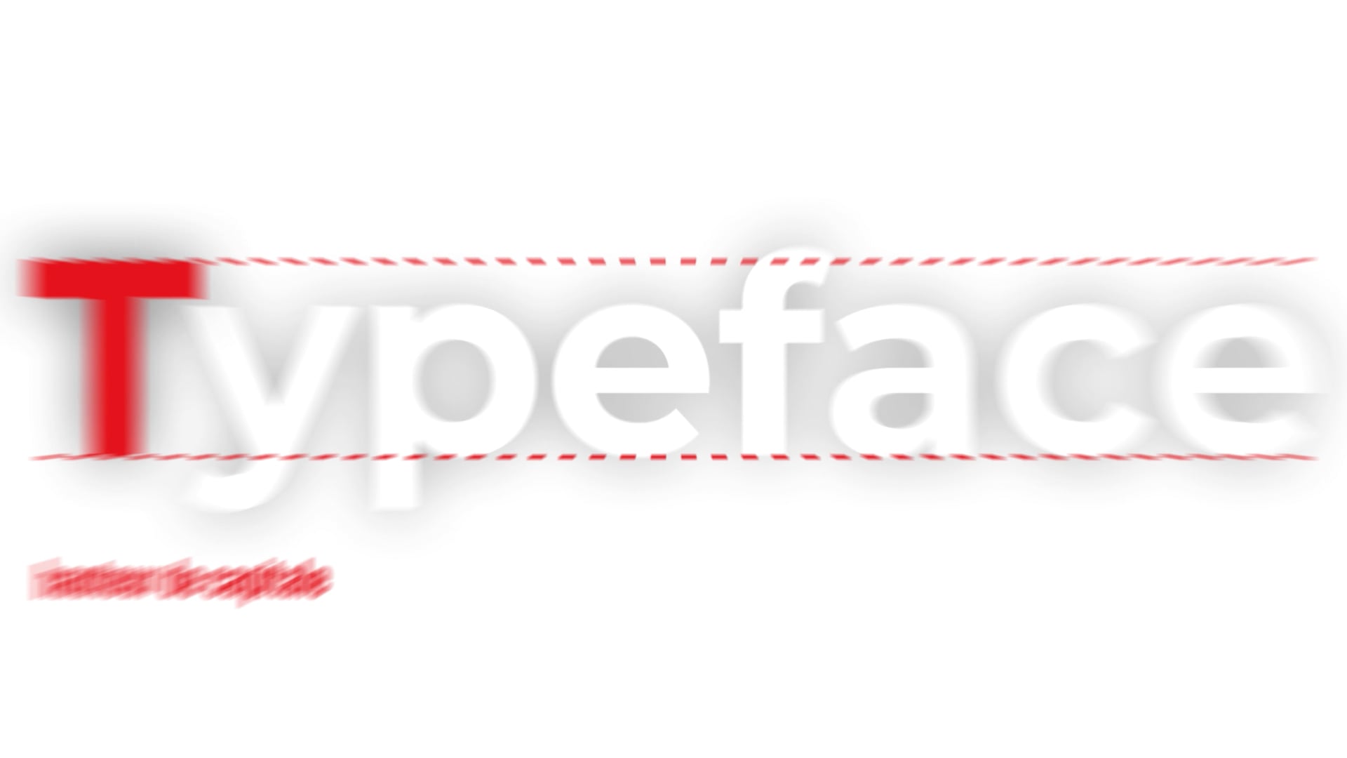 11_anatomie de la lettre