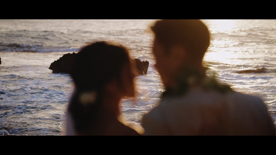 Hawaii Wedding Videos