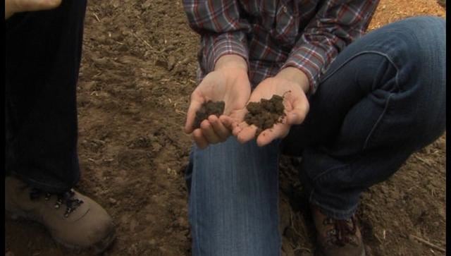 Healthy Soils