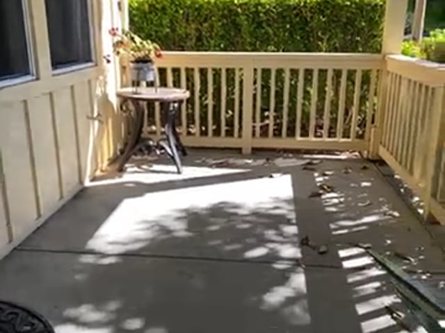 Video 1: With private patio