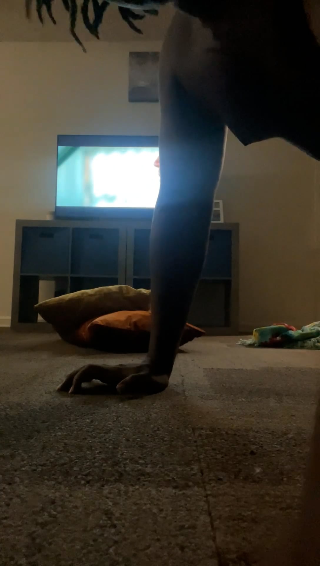 Watch kingston gooden's Push Ups: 12 push ups