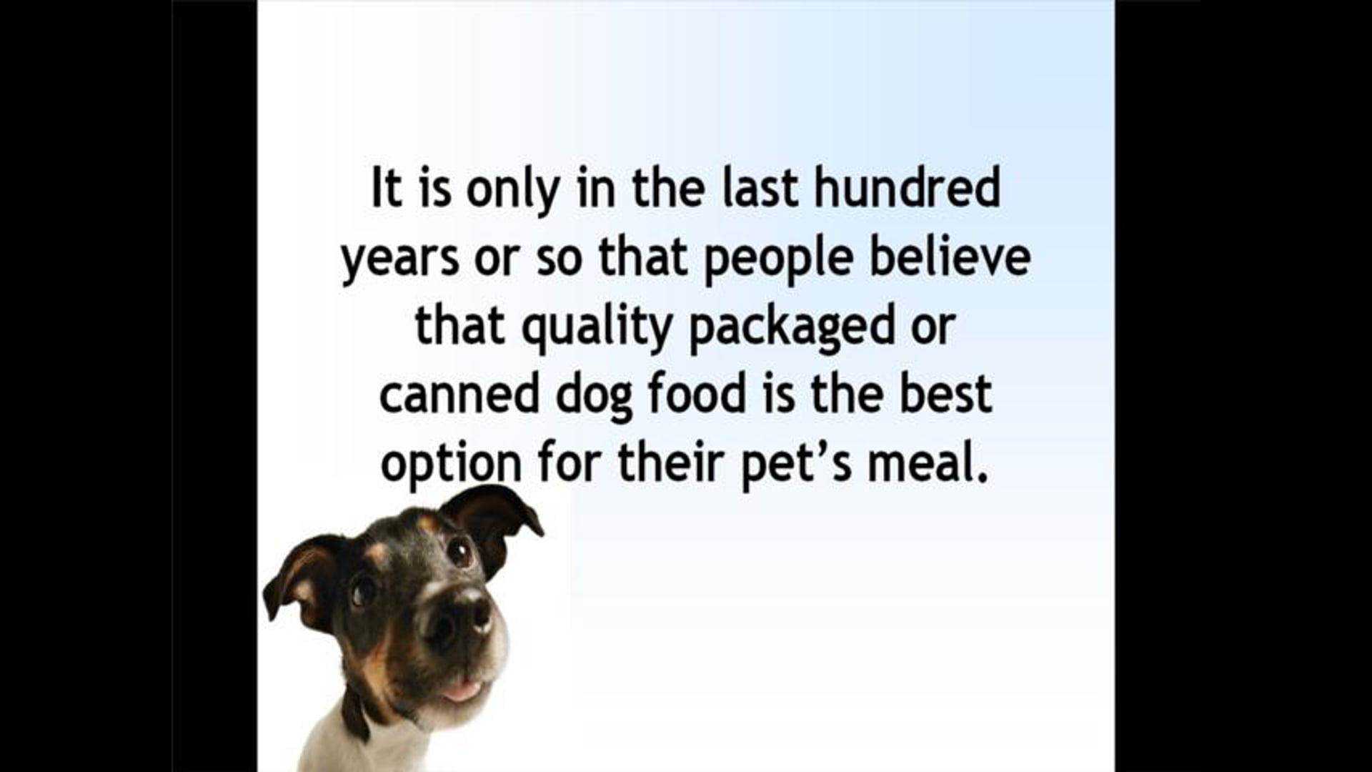 Dog Food Recipes for Your Canine