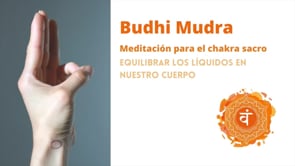 Meditación con  Buddhi mudra para el gozo y placer.