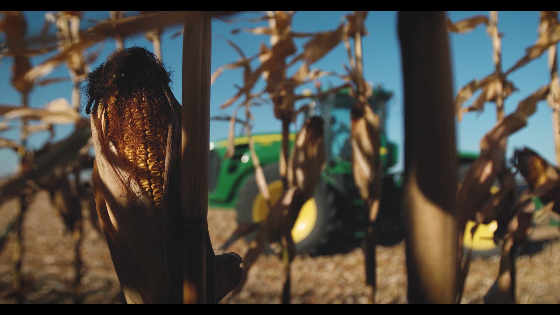 Showreel_Adam Zuehlke