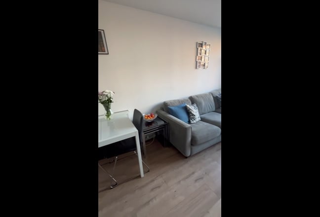 Furnished 1 Bed Flat close to two train lines Main Photo