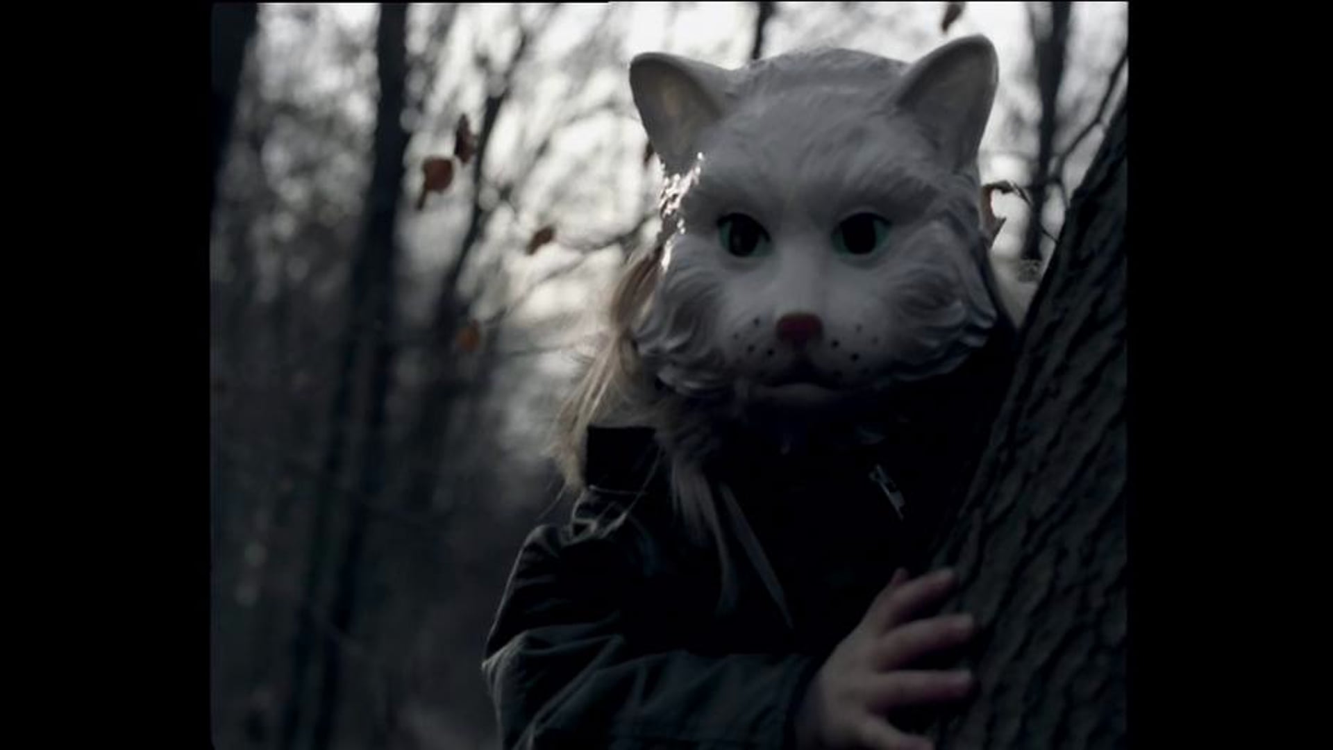 'Dumbworld The Woods' - Dir: John McIllduff
