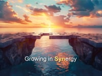 Fusione Progetti e Soluzioni - Acme Italia