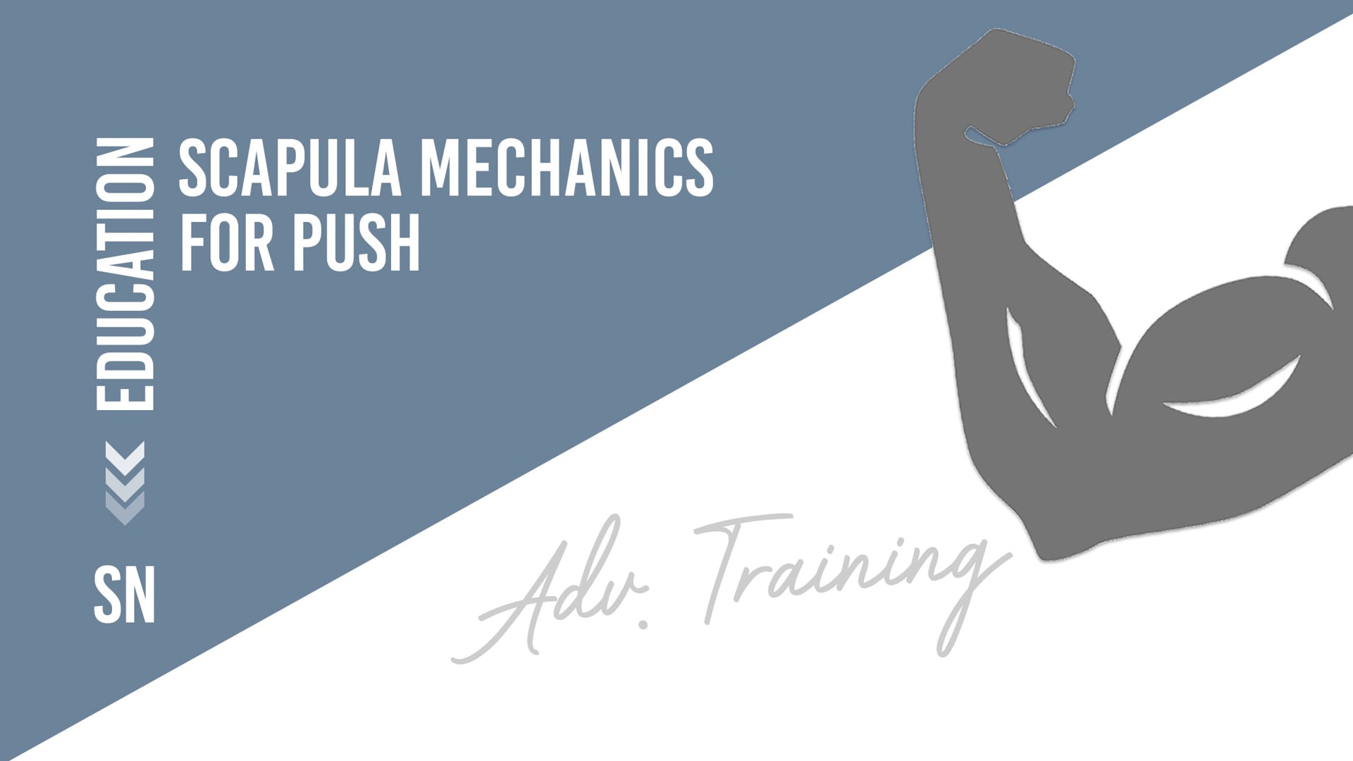 Scapula Mechanics for Push