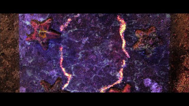 Chad Valley - Reach lines thumbnail