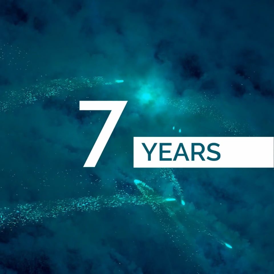 7-Year Anniversary Dynamic Equity Opportunities