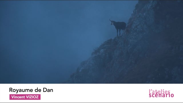 Royaume de Dan Vincent Vizioz