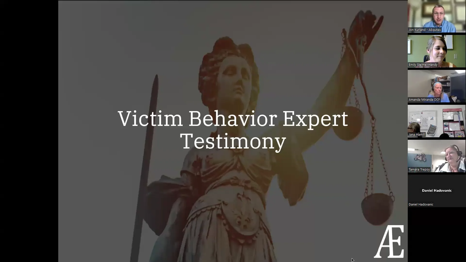 Understanding and Explaining Victim Behavior on Vimeo