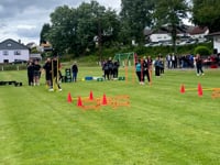 12_Dreibeinlauf