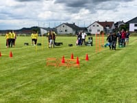 05_Dreibeinlauf