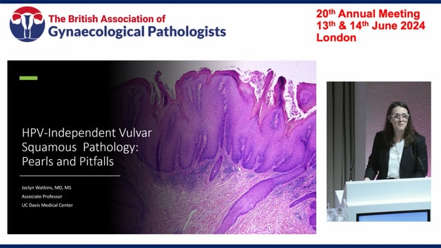 HPV-negative vulvar pathology, Prof Jaclyn Watkins